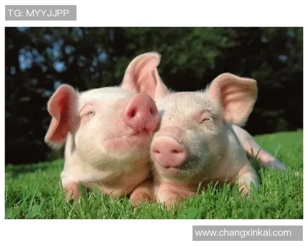 你不知道的曼城：十大冷知识大揭秘