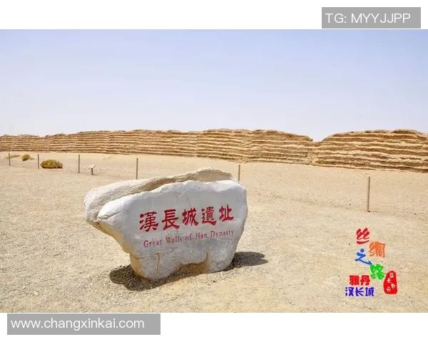 独行侠五年蜕变之路 数据全面进化成就新辉煌